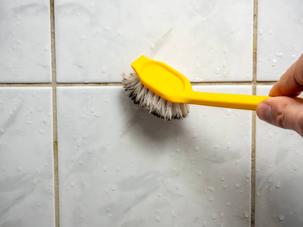 Best Insurance-Related Mold Remediation in Indian River, MI