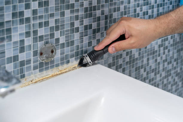 Best Post-Flood Mold Remediation in Indian River, MI