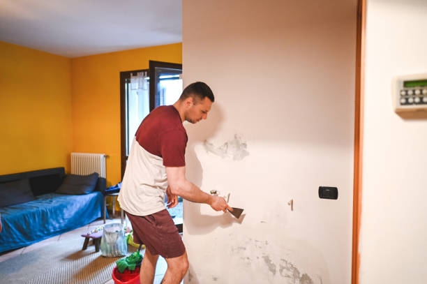 Best Commercial Mold Remediation in Indian River, MI